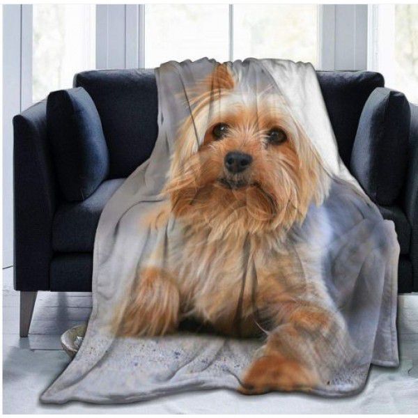 Creative Autumn and Winter Warm Sofa Cover Blanket Printed Double sided Flannel Air Conditioning Blanket